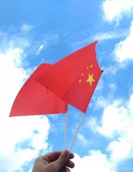 迷你淘气猪逃脱