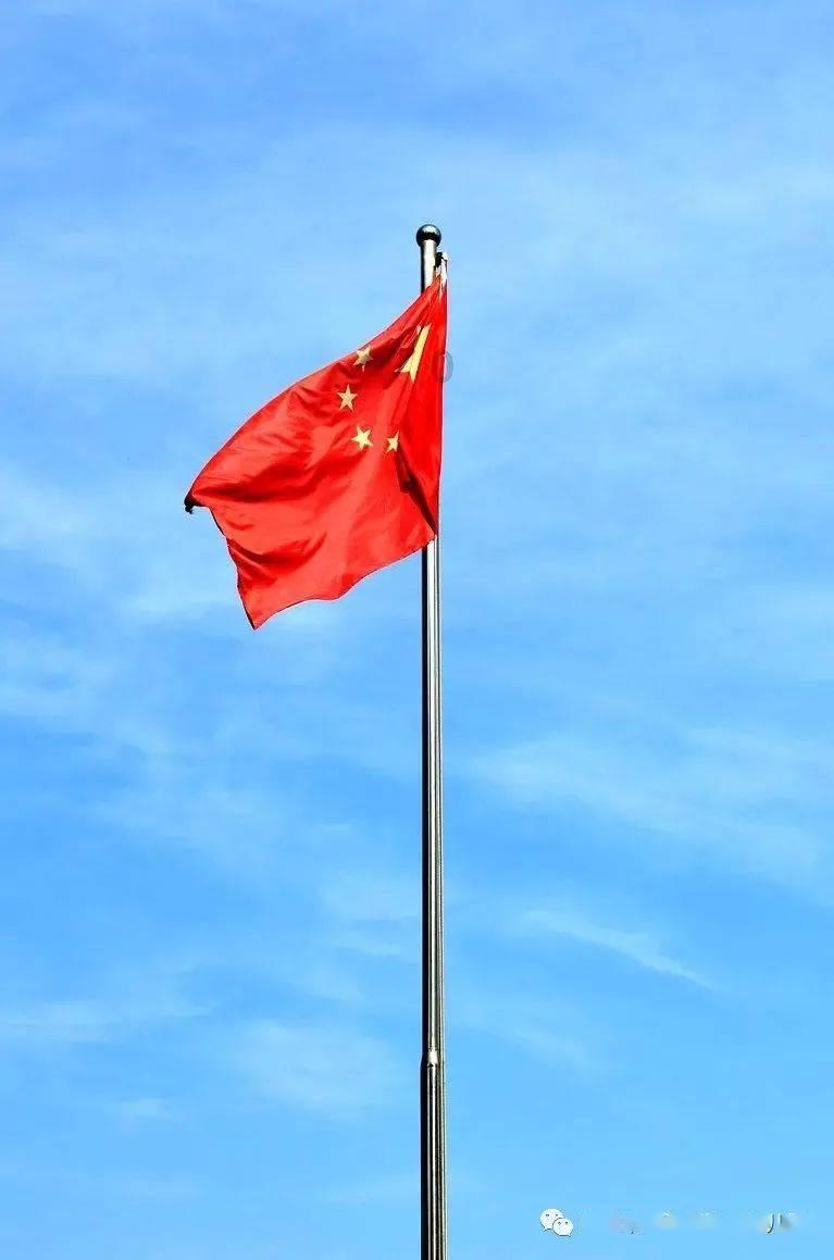 组装机械警暴龙
