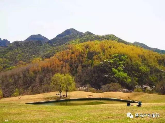 杨勇在敌军眼皮底下明修栈道暗度陈仓，一举夺下重兵把守的郓城
