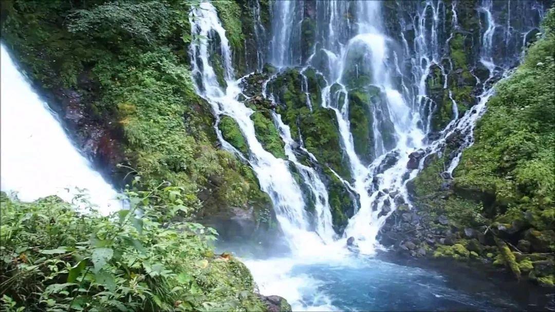 海岛大亨5